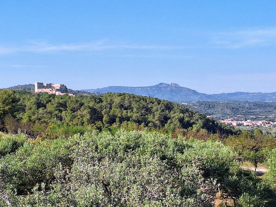 Finca i Rasquera, Tarragona - foto 4